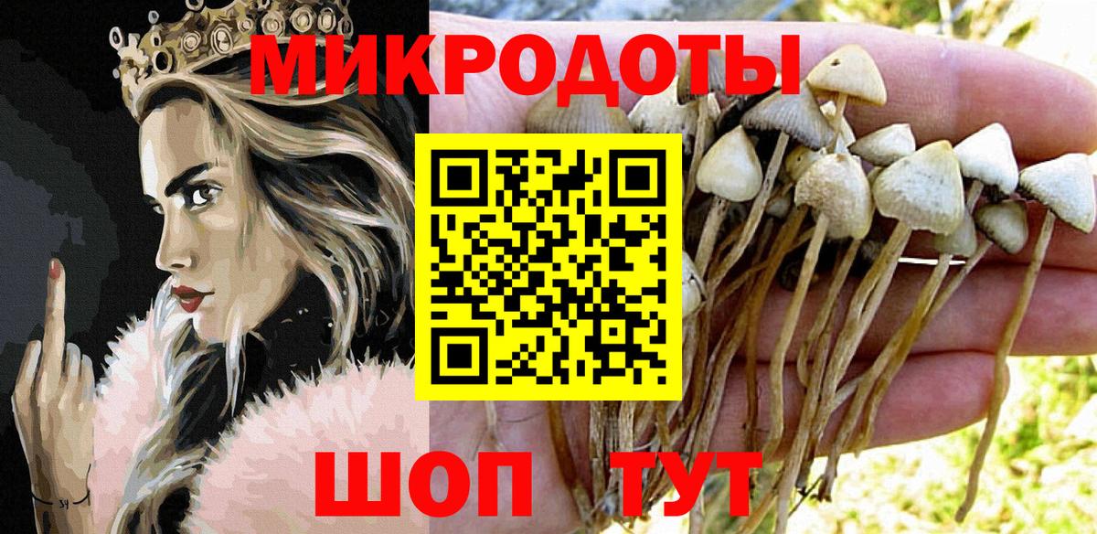 Псилоцибиновые грибы мухоморы Боровичи